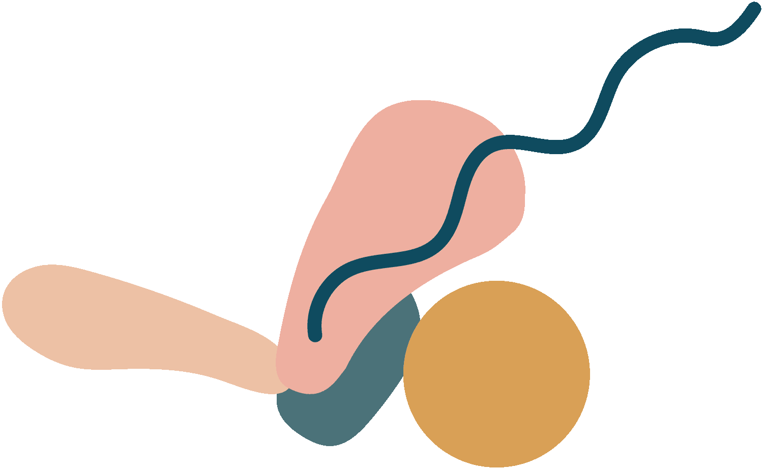 Unity_vector-small